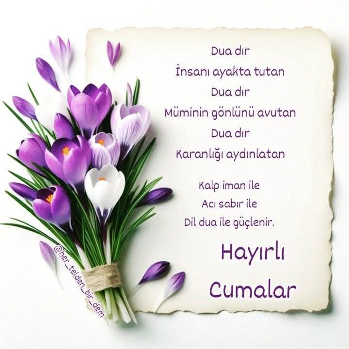 OktaySncr's tweet photo. https://t.co/fulu6AJzTI