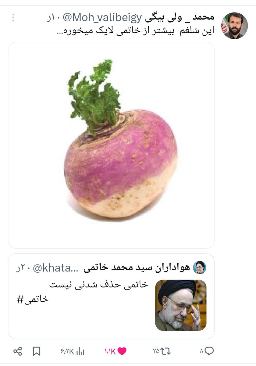 Whiteswanap1's tweet photo. درس امروز:
آدمی که اندازه گلابی و شلغم و بادمجان و گوجه گندیده محبوبیت ندا��ه رو نمیشه با پروژه و پول محبوبش کرد
#باغی https://t.co/EGjvXxHcGe