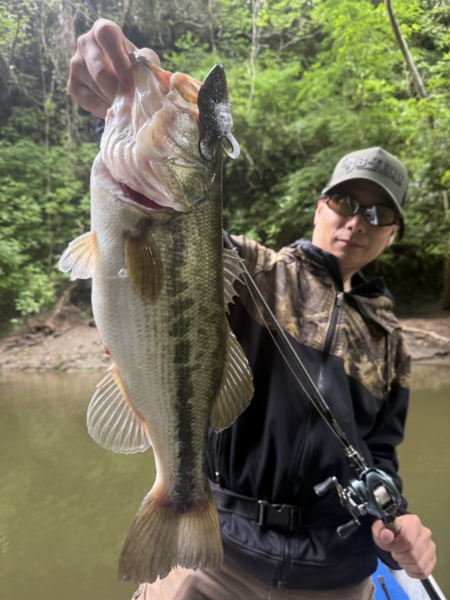 t_aoki312's tweet photo. 昨日の夜に急遽、釣りに行きたいとのことで甲斐くん@kaitakufishingと豊英へ
久しぶりの豊英＋ベイトオン
リーで
いざ始めると、水温低下と増水で難しい

そのなかでもなんとか、いいクオリティの魚を引っ張れて本当に勉強になった
38〜49.5で４本と50アップまではあと一歩

#豊英ダム https://t.co/5AQxXaK1n2