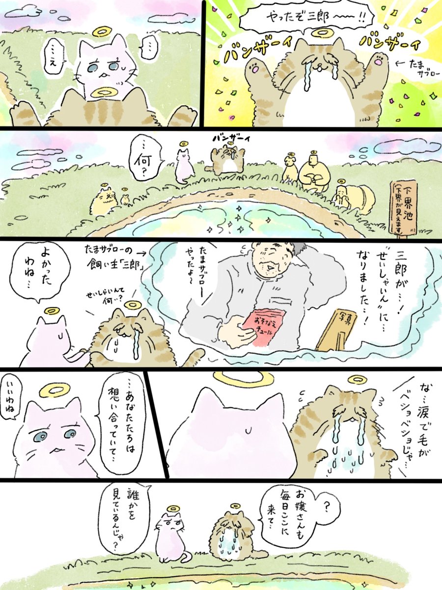 musashi_0303's tweet photo. 天国での暮らしはどうですか「亡くなったネコが会いに行く①」
再掲です。許して… https://t.co/liwPrN90oW