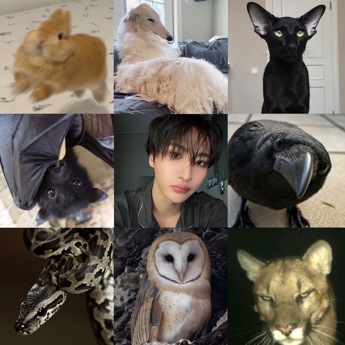 anns_bu's tweet photo. seonghwa variants https://t.co/8HHpXL4eSy