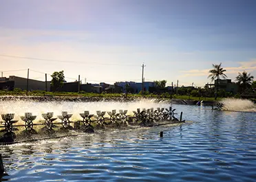 yanzhang1759864's tweet photo. 🌊 Aquaculture equipment used in fish &amp; shrimp farming for pond oxygen &amp; water circulation systems.

📧 callen@chinamashow.com
🌐 https://t.co/JtmcS6tRO8

#mashow #aquaculture #fishfarming #shrimpfarming #aquacultureequipment #pondmanagement #wateroxygenation #aeration https://t.co/qfs1WGNoxA