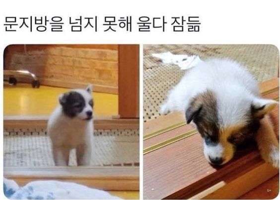 jjong2left's tweet photo. 유끼랑동거한지얼마안된모모세군이럼 https://t.co/KlkYBvrbVh
