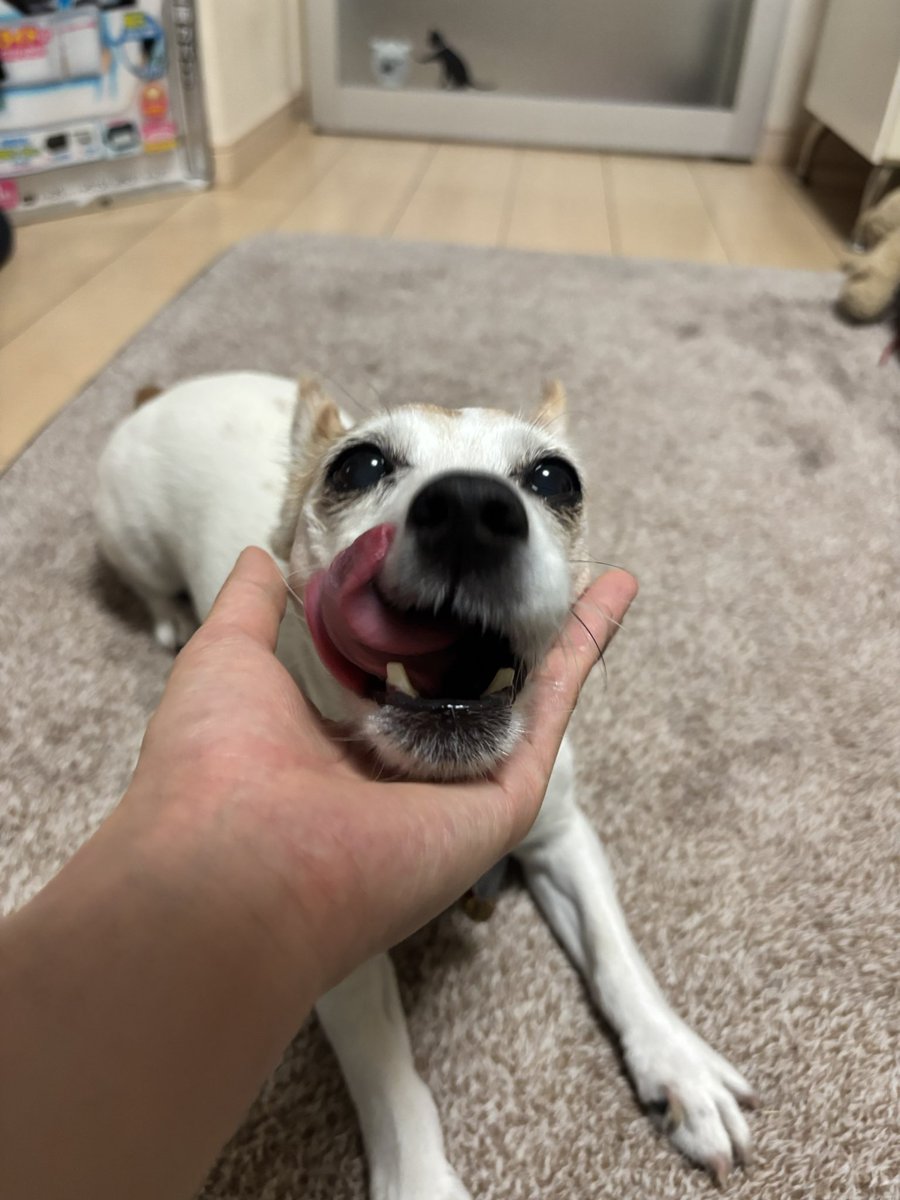 anchanman0709's tweet photo. 😜 https://t.co/3myNKA47W2