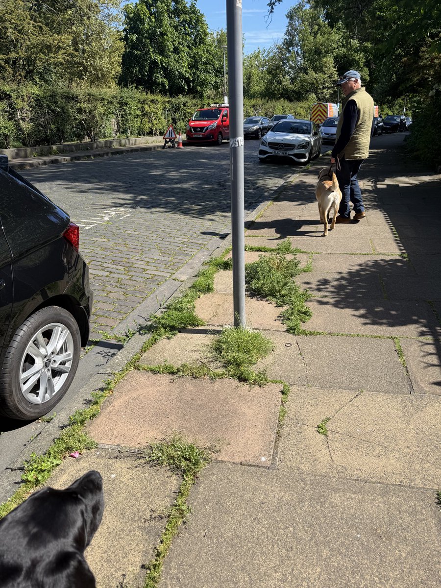 AliJCuthbert's tweet photo. @Edinburgh_CC Can someone please tell me why our streets in central Edinburgh look like this given that we pay a fortune in council tax? This is a world heritage site that attracts visitors daily. What an embarrassment for a capital city 😡 https://t.co/88BUsLAdiQ