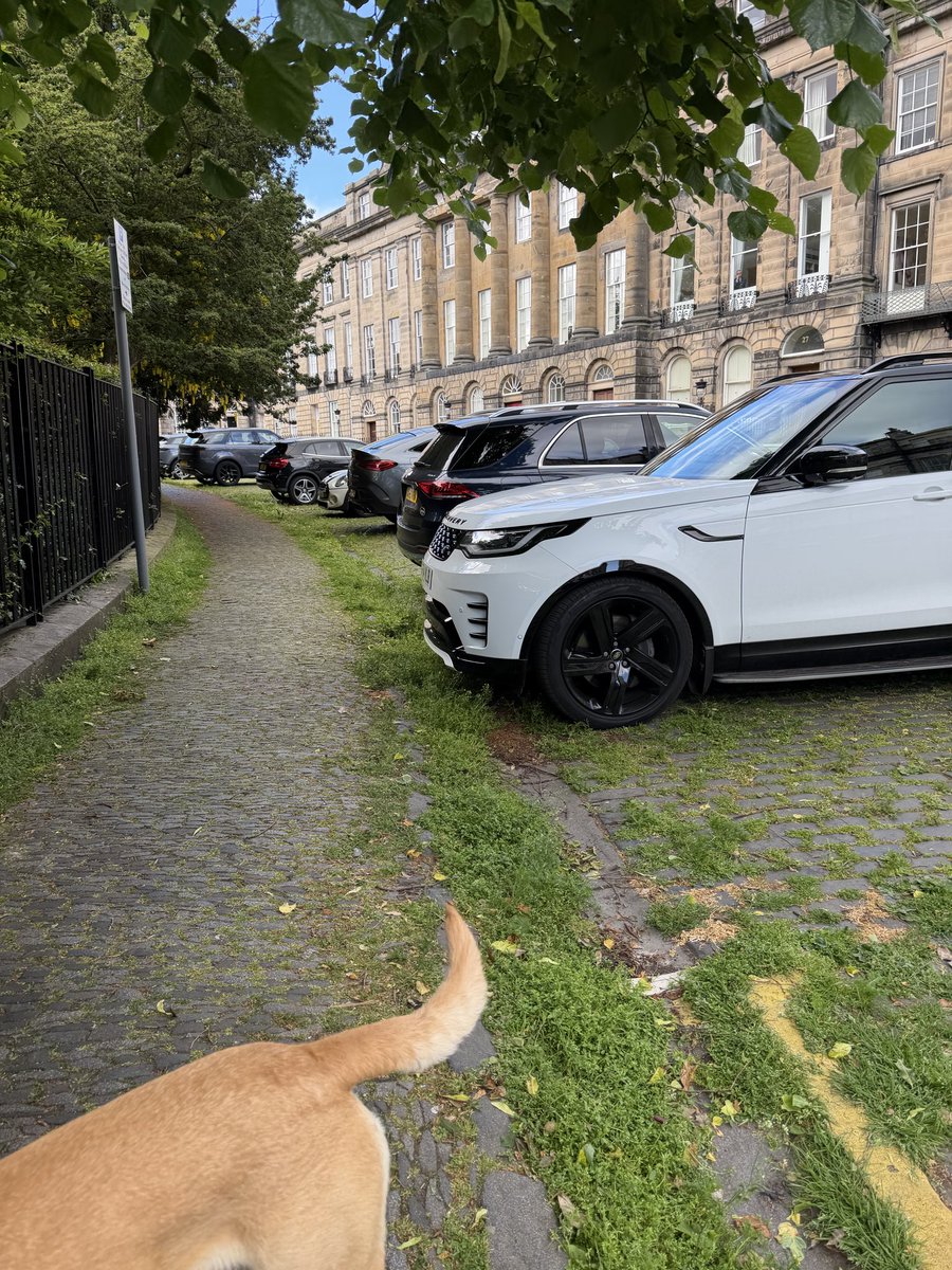 AliJCuthbert's tweet photo. @Edinburgh_CC Can someone please tell me why our streets in central Edinburgh look like this given that we pay a fortune in council tax? This is a world heritage site that attracts visitors daily. What an embarrassment for a capital city 😡 https://t.co/88BUsLAdiQ