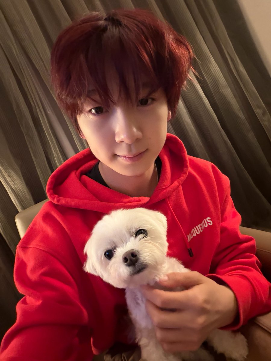 young__0__'s tweet photo. 🐶🐶🥺🫳🏻 https://t.co/wiGhqBU9hp