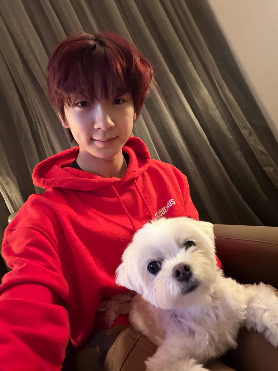 young__0__'s tweet photo. 🐶🐶🥺🫳🏻 https://t.co/wiGhqBU9hp