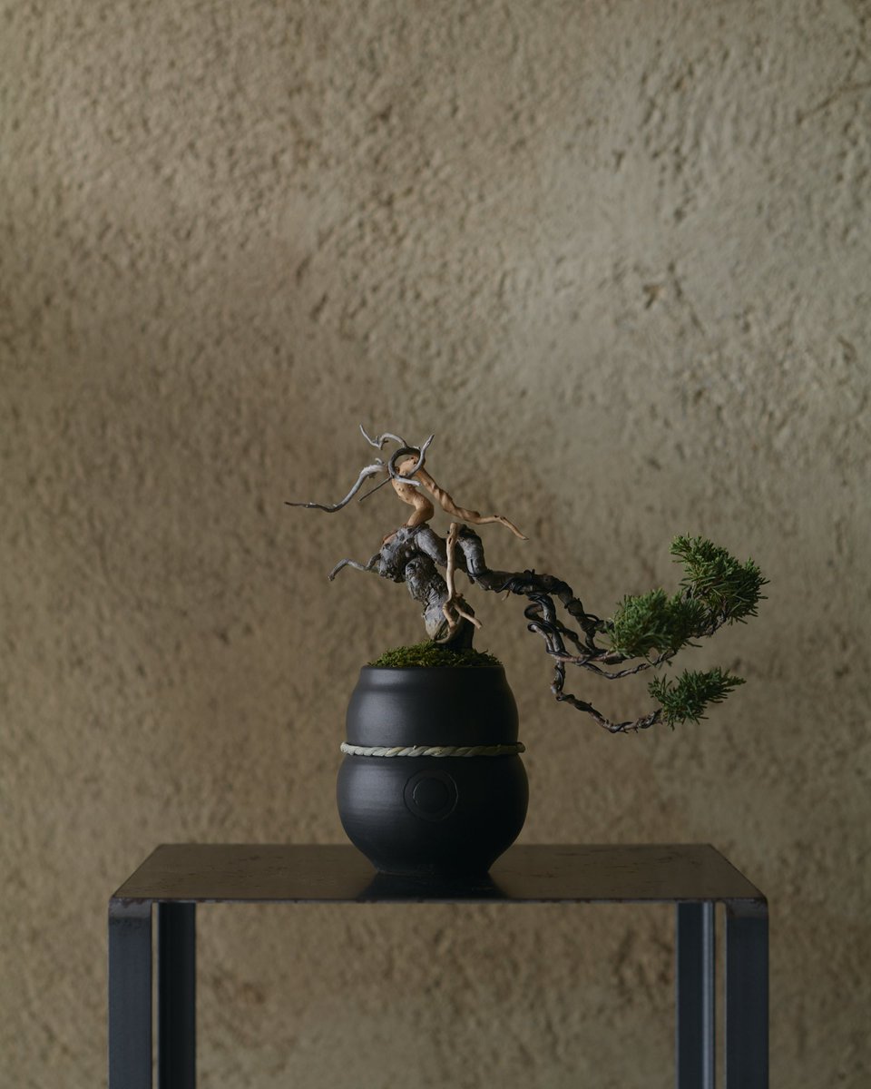 rododendron bonsai【Web chính thức：24club．com】socolive2【Web