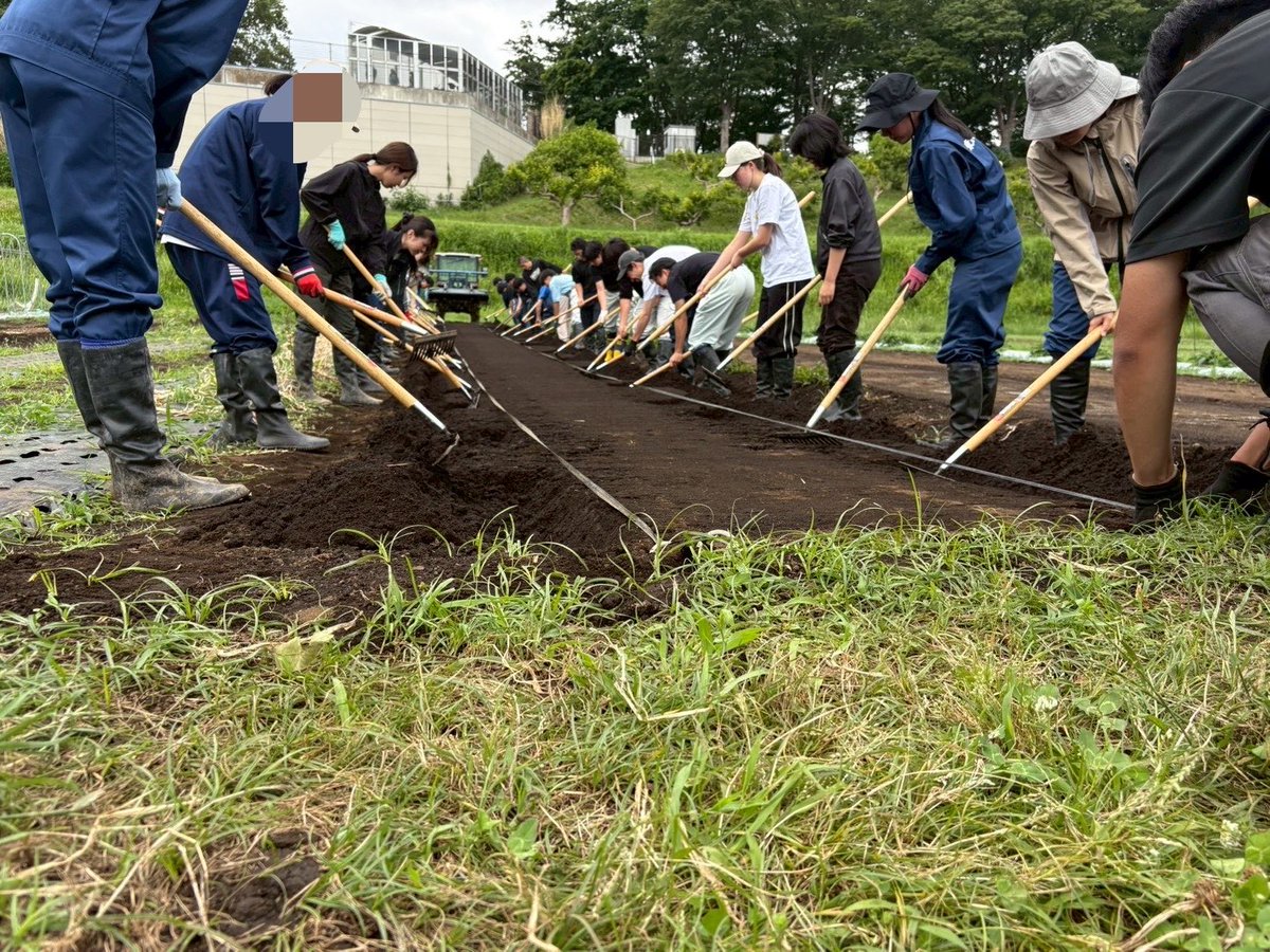 tokyonodaipr's tweet photo. 午前中の定植作業、午後は夏に向けた仕込み。

本当にお疲れ様でした。

ゆっくり休んで、良い週末をお過ごしください✨

＃東京農業大学 #農学部 https://t.co/Zb68ilezRA