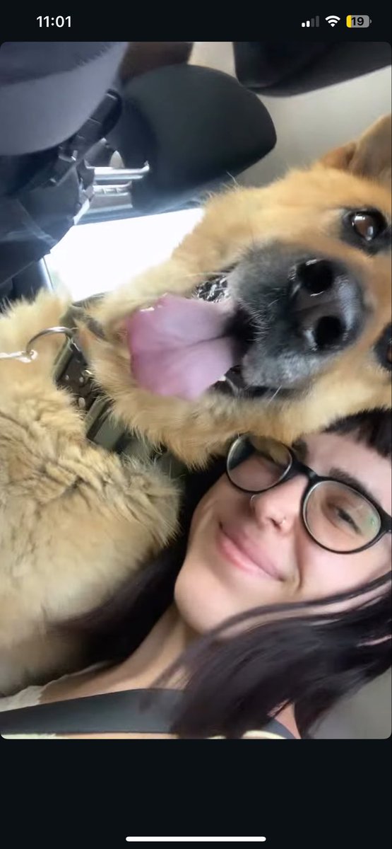 arltrr's tweet photo. busco protectora/casa de acogida/adopción responsable para tula a poder ser en zaragoza capital no me la puedo quedar porque no se lleva bien con perros ni con otros animales tiene 10 años es hembra ayer le hice una analítica completa en el veterinario tiene las vacunas al día https://t.co/WISCnZvKIR