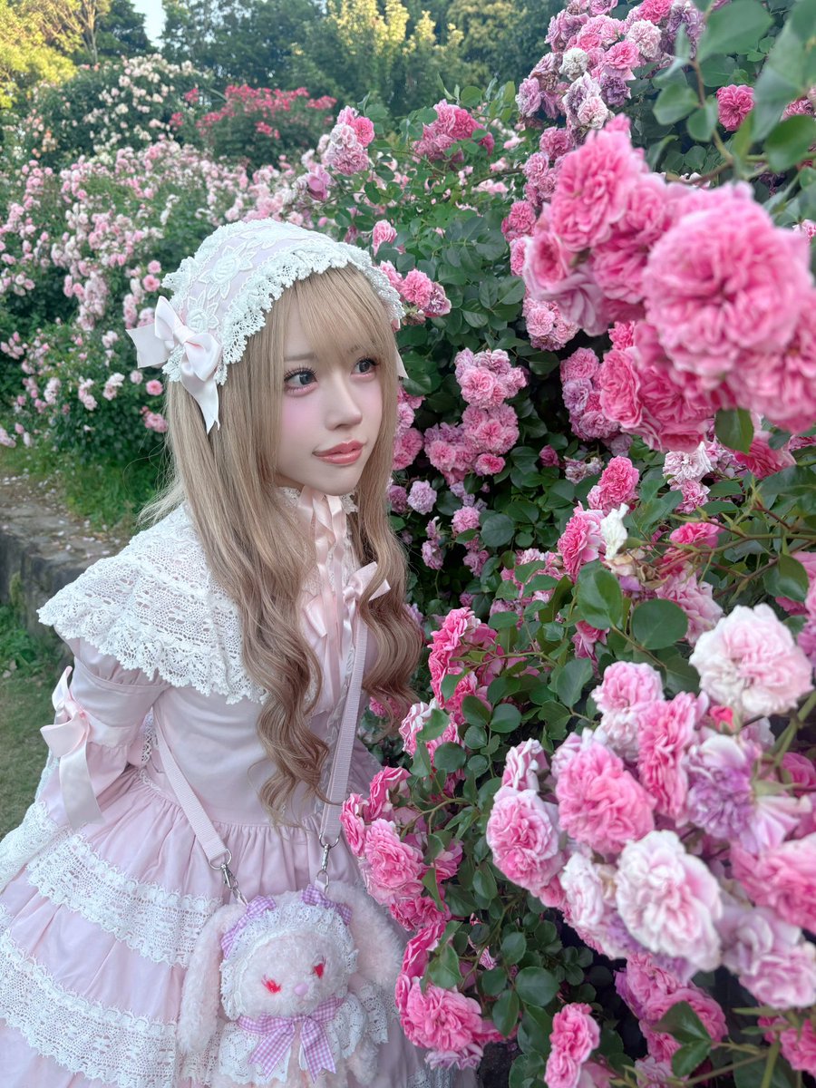 Post by 😈あろまにゃん😈 on X: 姫👸🎀
