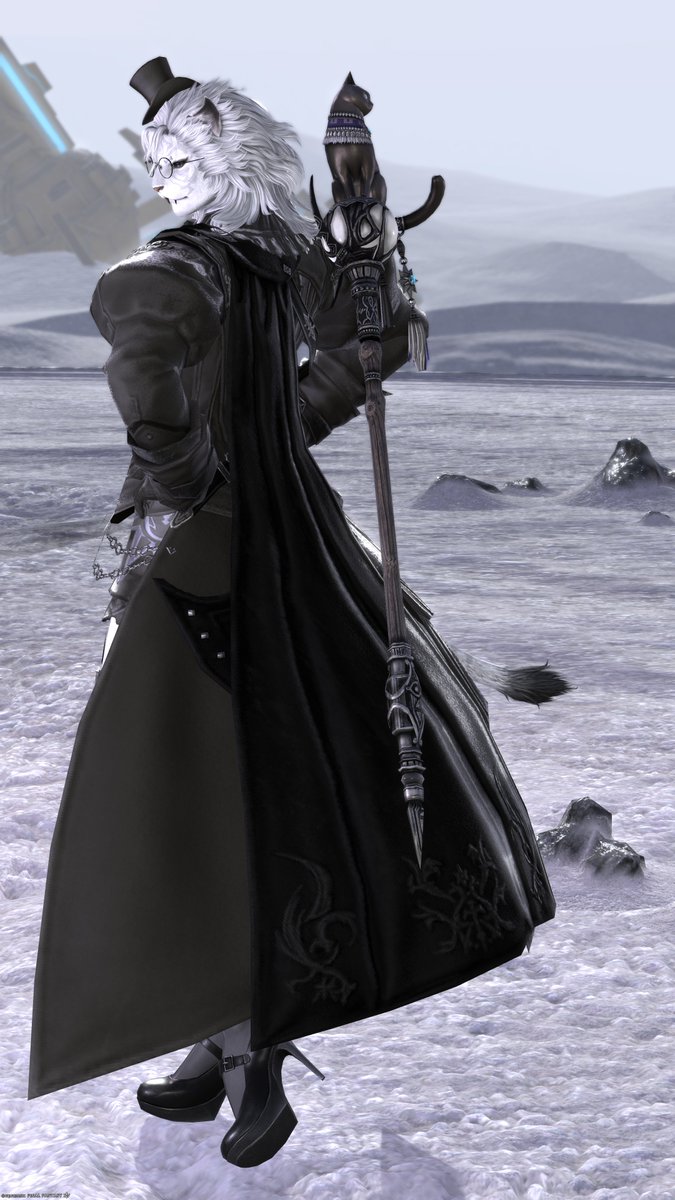 Allegras_H's tweet photo. #FF14 https://t.co/buD8nsRlza
