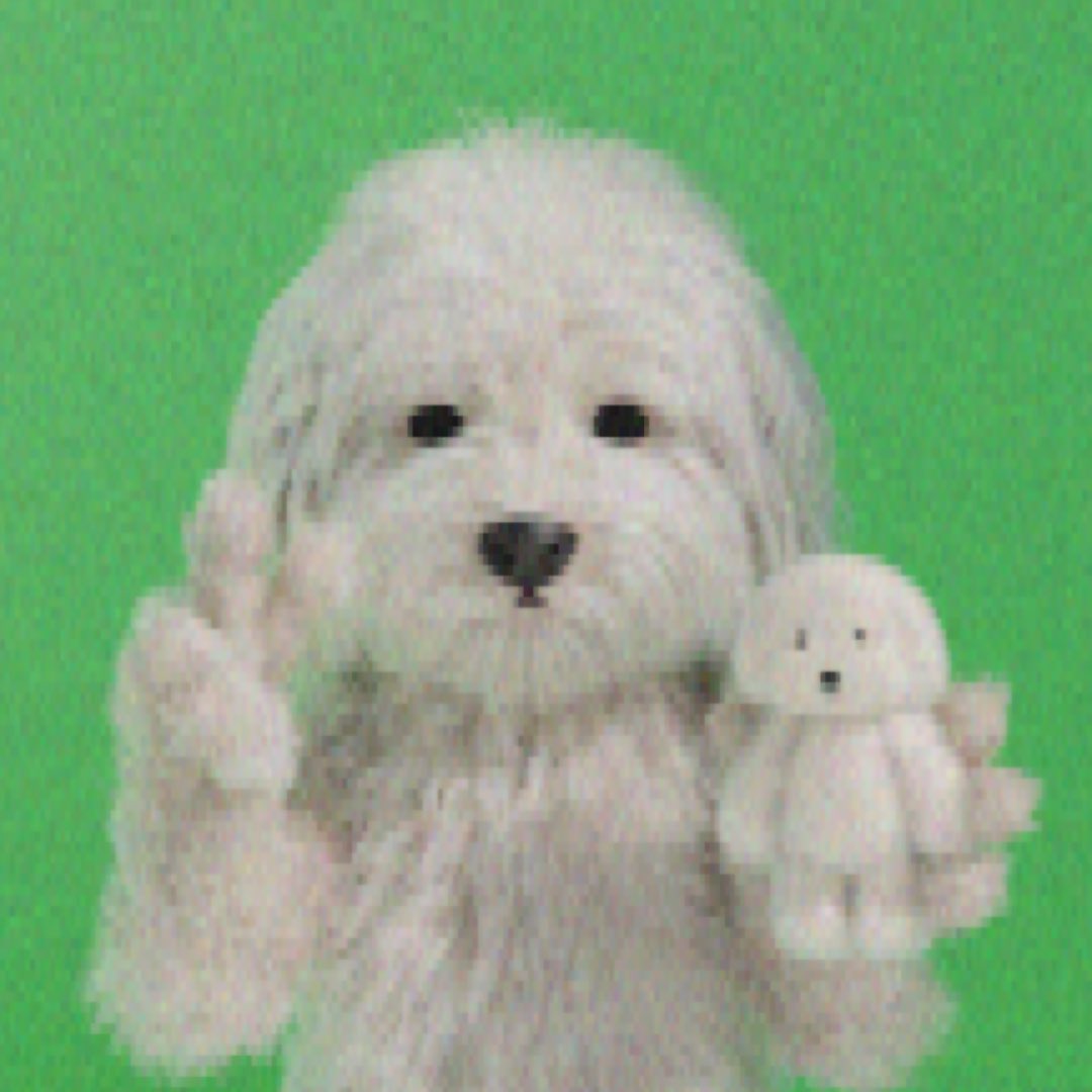 inu_oa's tweet photo. https://t.co/k8fNi5FVnu