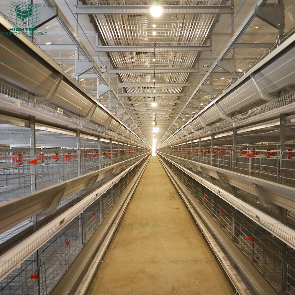 HightopPoultry's tweet photo. Tunnel ventilation 🌬️ keeps H-type layer houses cool, improves air quality 🐔, and supports steady egg production 🥚📈 https://t.co/qk0JbR2B1J