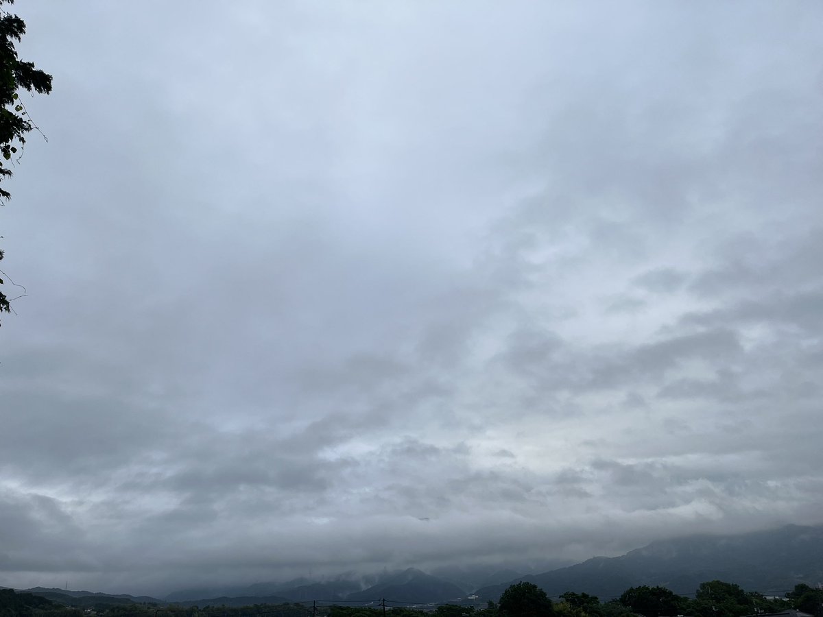 fourtailscat's tweet photo. おはよう東温、今朝六時の風景
台風での倒木は、片付けられていた。あの人か、あのオッチャンか。顔が浮かぶ。お世話になります。
また、台風のタマゴがいるんやって。どうする、鶏達に愚痴る。
#おはよう東温 #菖蒲谷 https://t.co/48hAPHkB3q