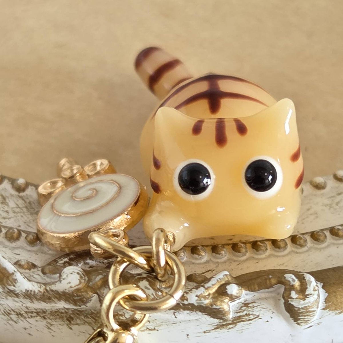まんまるお目々がチャームポイントのねこちゃん🫶