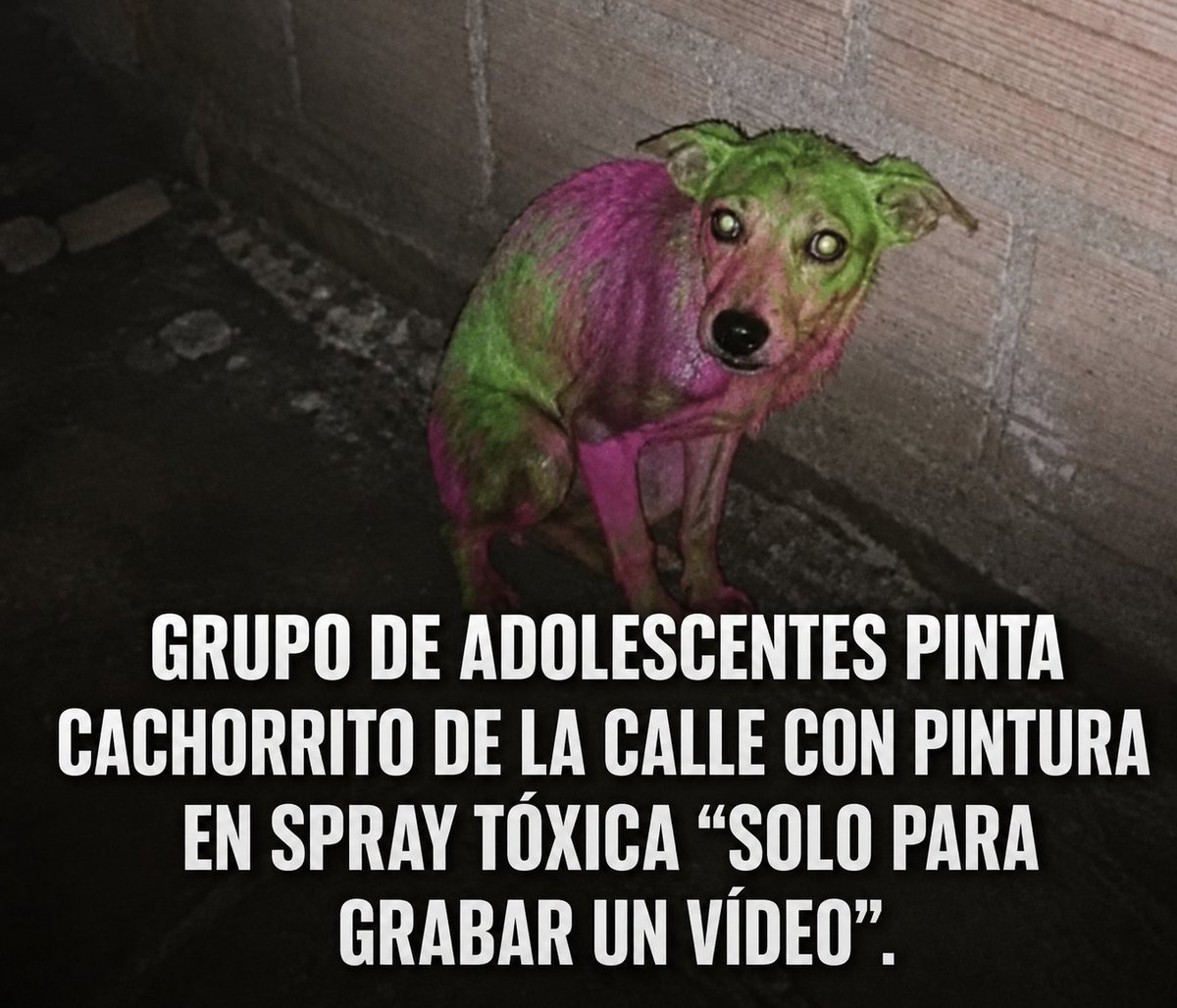 ruben_prz's tweet photo. La influencia de las redes sociales está generando continuos casos de mal trato hacia los animales, como el caso ubicado presuntamente en Brasil donde un grupo de adolescentes pintó con un spray nocivo a un perro para grabar un video. https://t.co/LPdytkRPH1