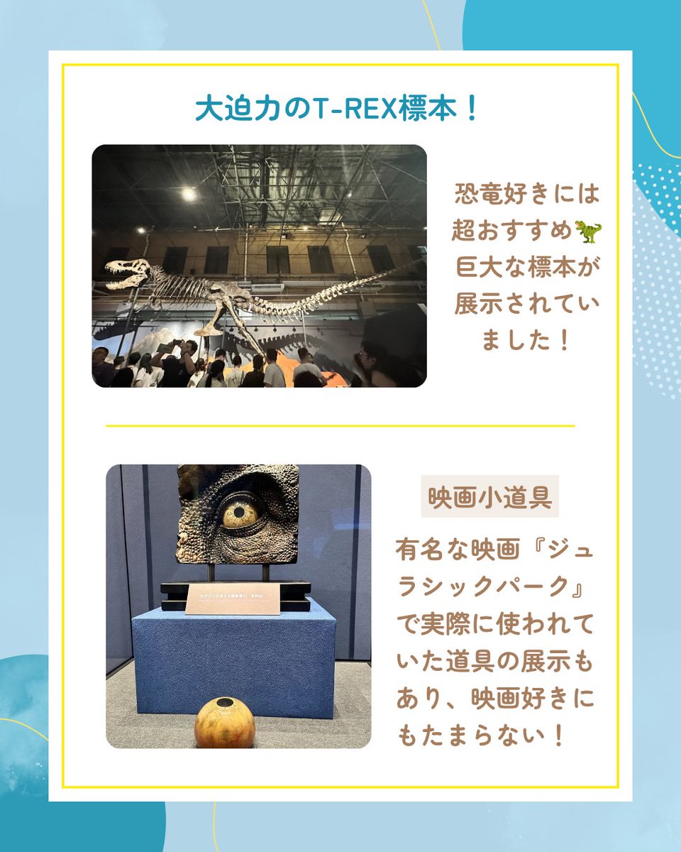 BJSA_beijing's tweet photo. 5月23日(土)、広報部全体取材として国家自然博物館を訪問しました🦖
当日はルーレットでランダムにグループ分けを行い、各グループで館内を自由に見学。新メンバーも多く参加し、展示を見ながら感想を共有することで、部員同士の交流も深まりました✨
#BJSA #北京留学 #中国留学 #博物館 https://t.co/UtxRUit2Kl
