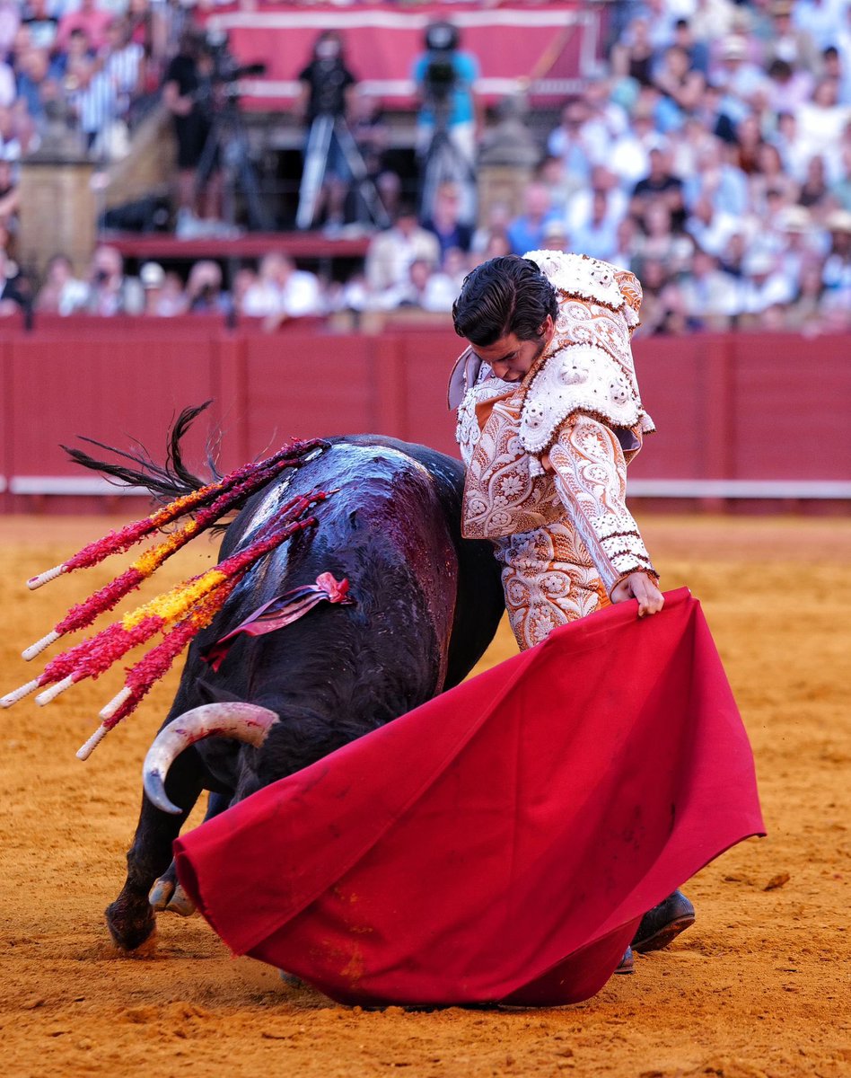 JBAYORT's tweet photo. Como en todas las puertas del Príncipe, hay debate sobre la autenticidad de esta de Morante de la Puebla. El problema es que ha malacostumbrado tanto a la afición, haciendo de la excepción norma, que hay quien incluso no cree estar viendo algo que jamás ha visto ni posiblemente volverá a ver. 

Mi problema es aún mayor: cuanto más veo a Morante, más exigente soy con los demás.

📸 @LancesMaestranz @SalvaLpezMedina