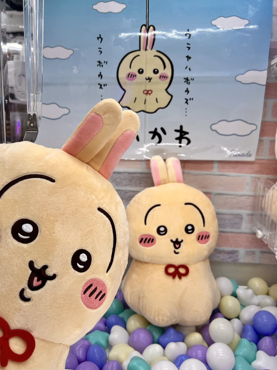 💛🐰景品入荷情報🐰💛 「 #ちいかわ ウラヤハボウズBIGぬいぐるみ