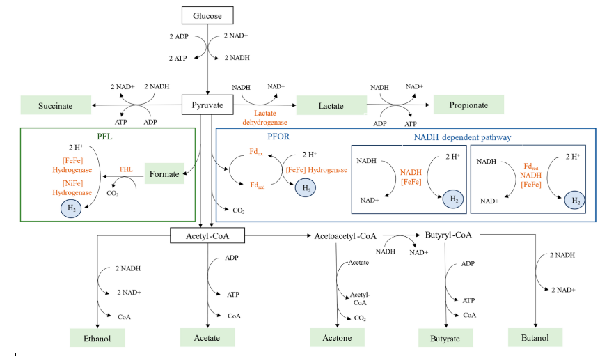 Methane MDPI tweet media