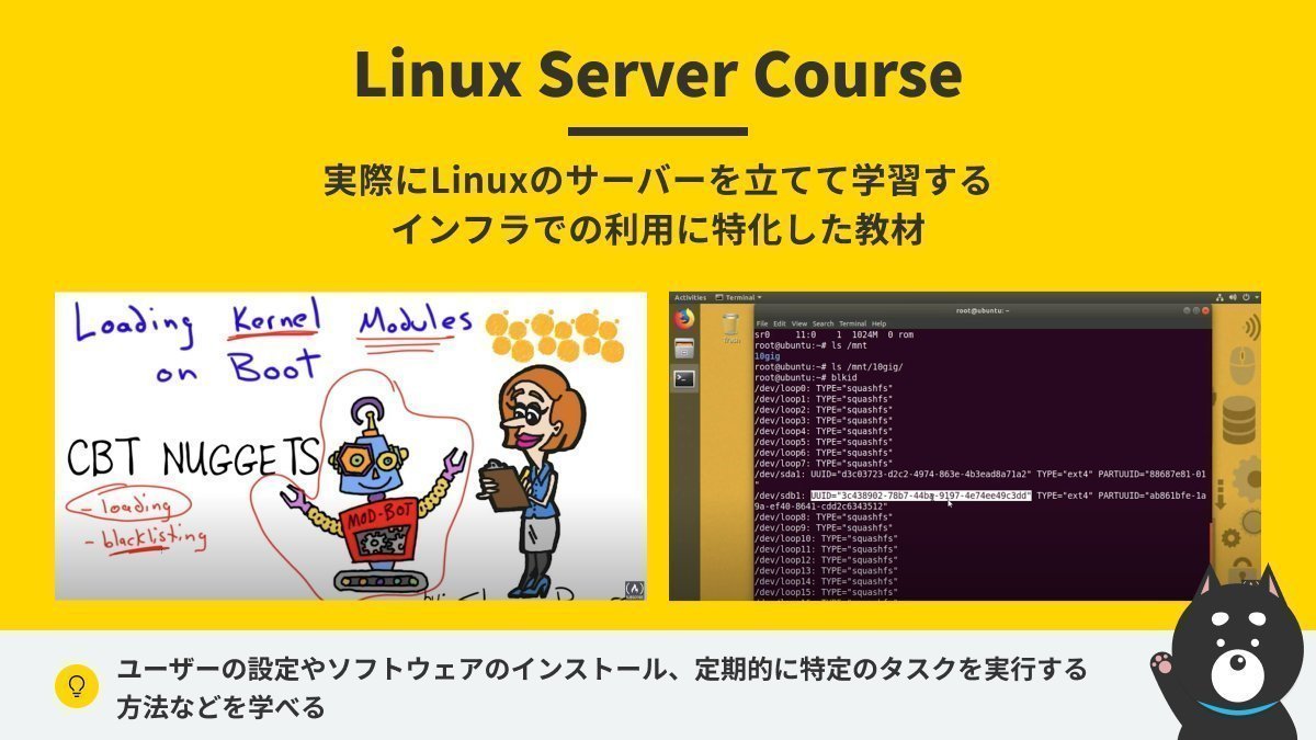 shiba_program tweet picture