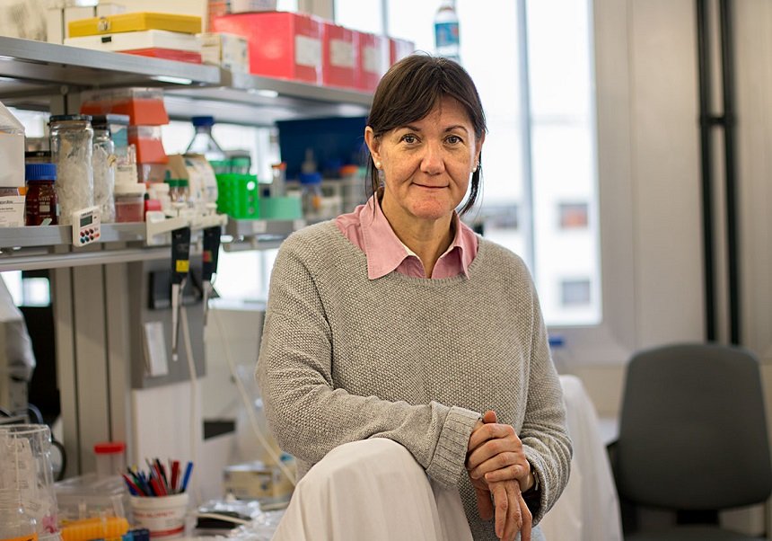 oper_uv's tweet photo. #JornadaERC Isabel Fariñas Gómez, (Advanced Grant) Catedràtica d'universitat. Departament de Biologia Cel·lular, Biologia Funcional i Antropologia Física. Universitat de València https://t.co/q2AiIiNy0w