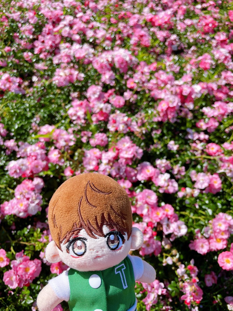 choco_byul_'s tweet photo. 피터 혼자 외출( ◜𖥦◝ ) https://t.co/u6U0D6iKc5