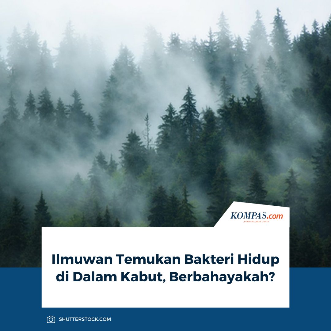 kompascom's tweet photo. Baca di sini: https://t.co/FlNepXrRiK
Selama ini kabut sering kali dikaitkan hawa dingin di pegunungan yang menyenangkan, atau justru suasana mencekam layaknya film horor. Namun, tak banyak yang tahu, bahwa di dalam kabut ada sesuatu yang hidup.
~AC #Kabut https://t.co/ama2Z6trHI