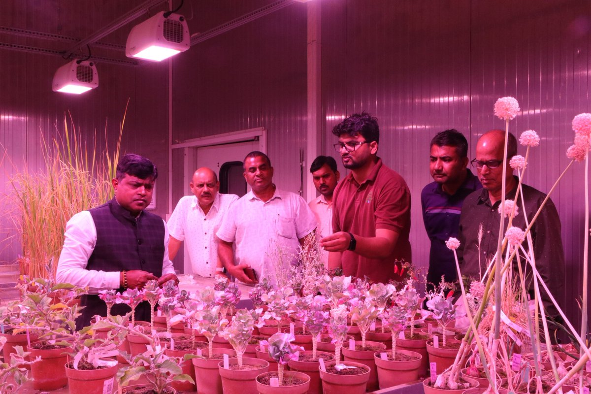 OSSCLtd's tweet photo. Md, OSSC &amp; team visited IRRI SARC, Varanasi! They explored the Grain Quality, Soil &amp; GIS labs, Speed Breeding &amp; Farm Mechanization to bring climate-resilient rice, data-driven farming, and advanced value addition to Odisha’s farmers. https://t.co/2hj3AMjwk5
