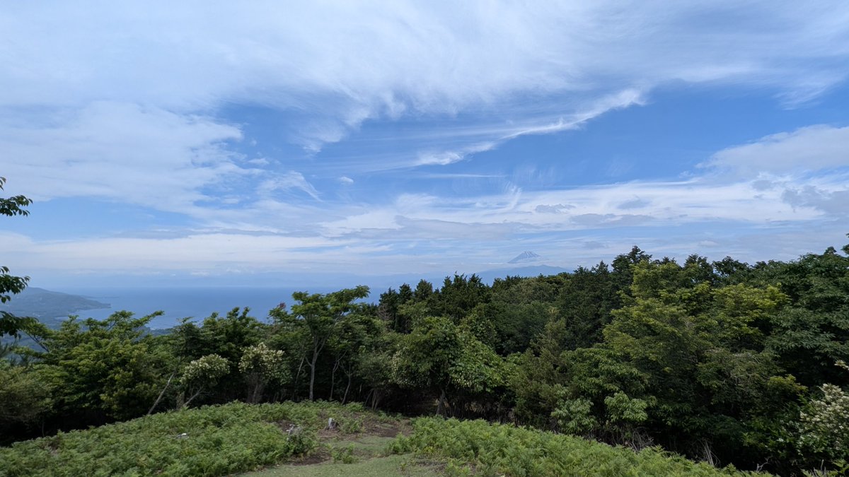 kame202's tweet photo. 発端丈山　410m
台風一過の為だいぶ道が荒れてます。
倒木も多いため注意が必要。 https://t.co/kv7AE8txec