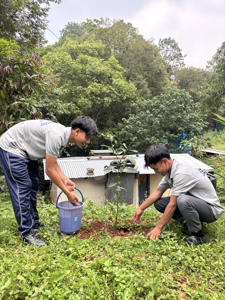 NssRBSC's tweet photo. The NSS unit of Ri bhoi synod college in collaboration with the environment department has successfully organised the tree plantation program as part of the World Environment Day Celebration 2026.
@_NSSIndia @CellNehu @nss_rdguwahati https://t.co/rDpMbXjZ20