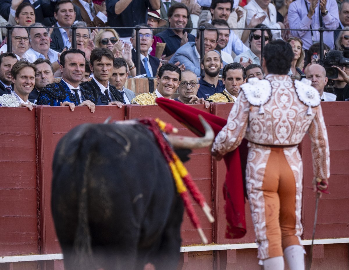 santanadeyepes's tweet photo. Quédate con quien te mire como mira Pablo Aguado a Morante. 

Como un niño mira a los Reyes Magos, como el ciego descubre la luz, como una ilusión primera, como cuando la esperanza está llamando a tu puerta. https://t.co/4o6NrHptT5