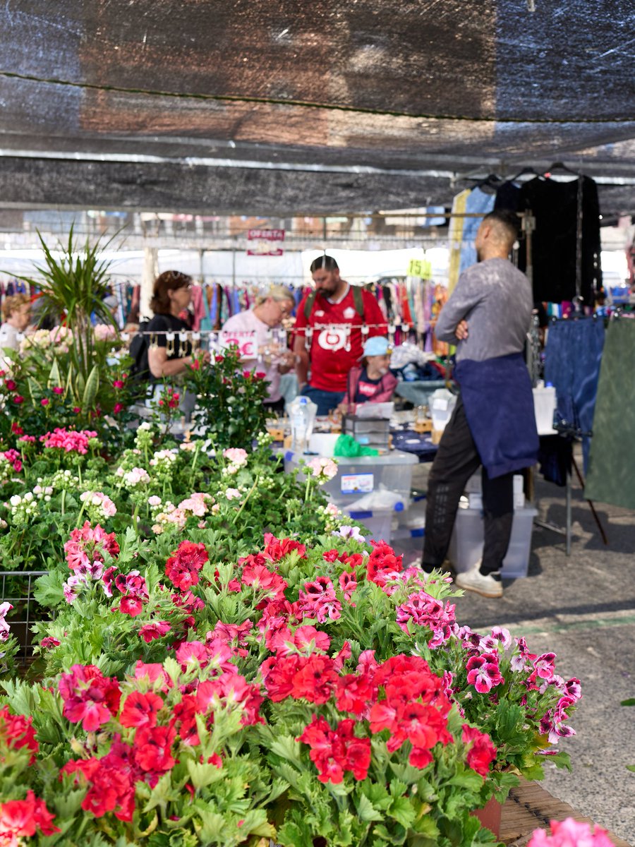 MercatsTGN's tweet photo. BONAVISTA | 🌸 Una flor per a algú especial? O una colònia per fer un regal únic? 🎁

Això i molt més us espera cada diumenge al Mercadet de Bonavista! 🛍️✨

Veniu a gaudir d’un espai ple de productes frescos, originals i de proximitat

@MercatsTGN https://t.co/B9DyNHo7kr