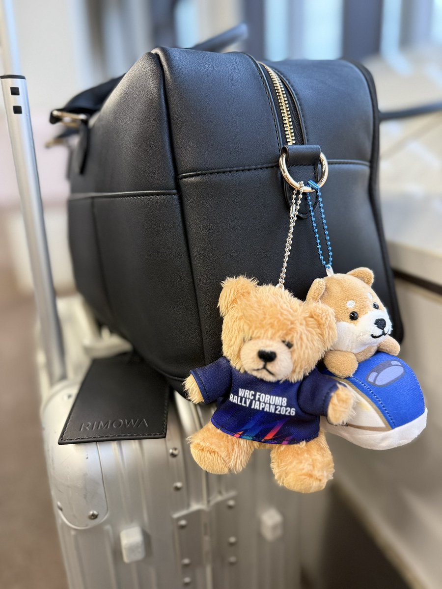 sa512chi's tweet photo. こんなかわいいマメしばシリーズあるの初めて���った〜🥺🤍
これは出張の楽しみで集めていこう🤭❤︎
そしてこのハイボールが美味しすぎて
Amazonで箱買いしようか今新幹線の中で悩んでる。笑 https://t.co/WOW6kQZ1KL