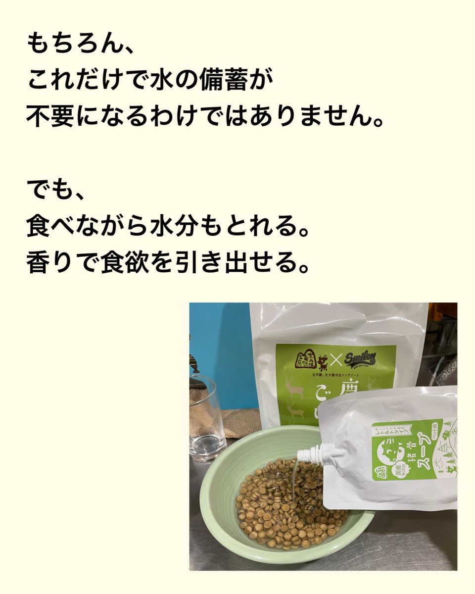 松本秀樹(ポチたまの松本くん) tweet media