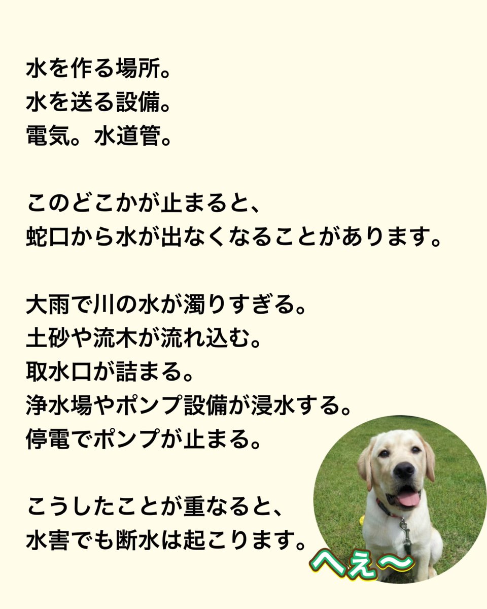 松本秀樹(ポチたまの松本くん) tweet media