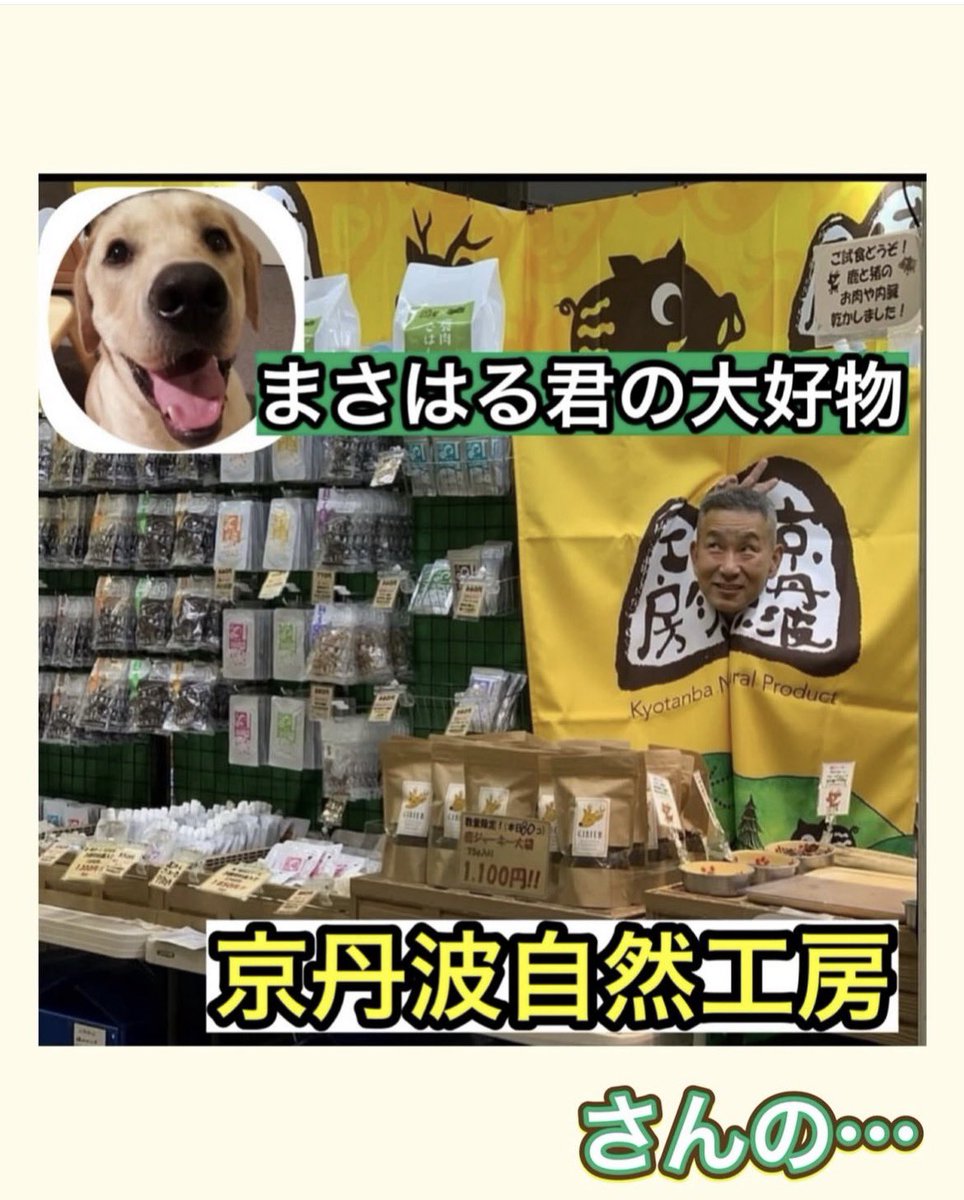 松本秀樹(ポチたまの松本くん) tweet media