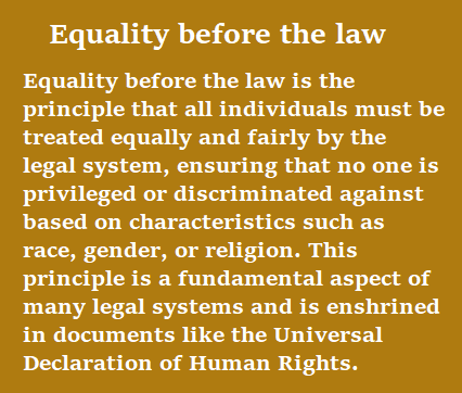 TransientVision's tweet photo. @JeSuisFedUp @implausibleblog ...yes, because the concept of 'equality before the law' is a novel idea some billionaire dreamt up.. 🙄 😵‍💫 https://t.co/vXcjoJk2Wi