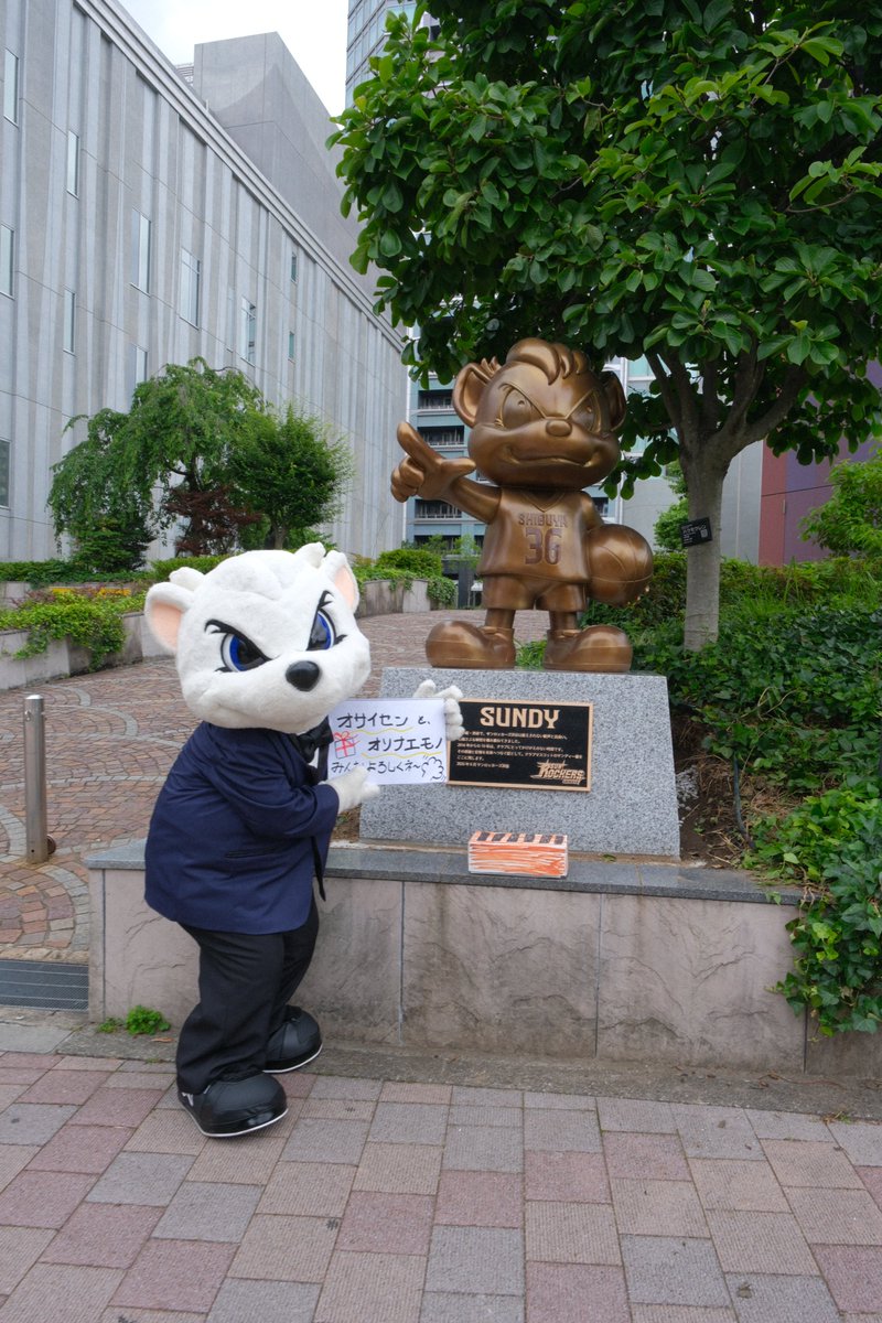 TokyoSunrockers's tweet photo. 📢 渋谷区と「マザータウン」協定を締結

 #サンロッカーズ渋谷 は2016年以降、渋谷区をホームタウンとしてともに歩み、クラブの歴史を築いてきました。
この歩みを未来へつなぐため、渋谷区と「マザータウン」協定を締結🤝
#東京サンロッカーズ となっても、引き続き渋谷の街を熱く盛り上げていきます🔥

本日は調印式に加え、「サンディー」銅像の除幕式も実施！ 
長谷部健 渋谷区長、代表取締役社長・神田康範、そしてサンディーも登場🐻‍❄️✨ 

詳しくはこちら👇
https://t.co/nQR20AcUsj

#Bリーグ