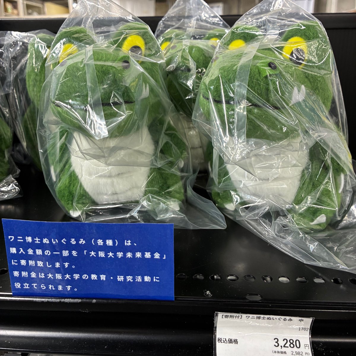 はじめまして 平岡です tweet media