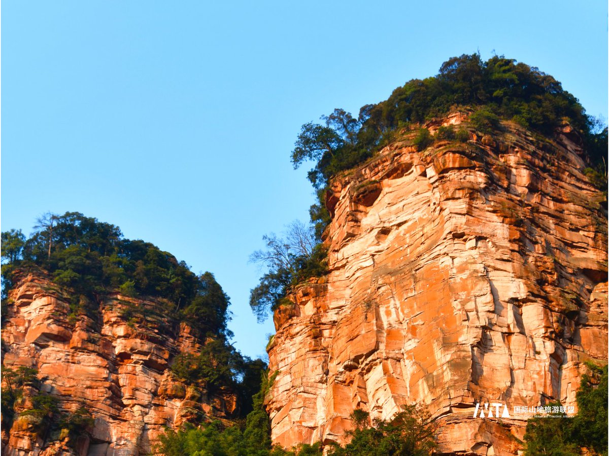IMTAOFFICIAL's tweet photo. 📌 Chishui Danxia, Zunyi, China
🏜️ A UNESCO World Natural Heritage site, representing China's largest early-stage Danxia landform cluster.
💦Crisscrossed by 352 rivers and streams, creating over 4,000 waterfalls (some exceeding 3 meters in width) that form the largest waterfall group in Asia.
🌳 A "Green Danxia" wonder, where vast bamboo seas and ancient tree ferns intertwine with red cliffs.
#ChishuiDanxia #DanxiaLandform #WorldHeritage #Waterfall #BambooSea #ChinaTravel #NatureWonder #Guizhou #fyp #TravelPhotography #photography #Hiking