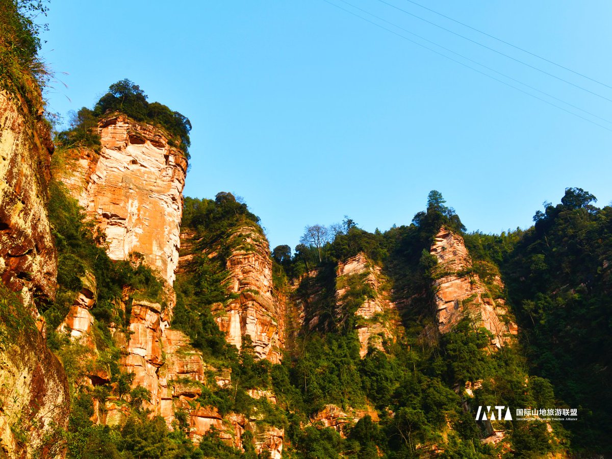 IMTAOFFICIAL's tweet photo. 📌 Chishui Danxia, Zunyi, China
🏜️ A UNESCO World Natural Heritage site, representing China's largest early-stage Danxia landform cluster.
💦Crisscrossed by 352 rivers and streams, creating over 4,000 waterfalls (some exceeding 3 meters in width) that form the largest waterfall group in Asia.
🌳 A "Green Danxia" wonder, where vast bamboo seas and ancient tree ferns intertwine with red cliffs.
#ChishuiDanxia #DanxiaLandform #WorldHeritage #Waterfall #BambooSea #ChinaTravel #NatureWonder #Guizhou #fyp #TravelPhotography #photography #Hiking