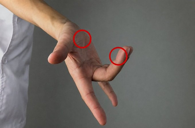 BrutalManhood's tweet photo. Rules for Having S**x with a V!rgen1t4 (Newly Married)

1. Use your fingers first.. https://t.co/rl7Mn8HwOD
