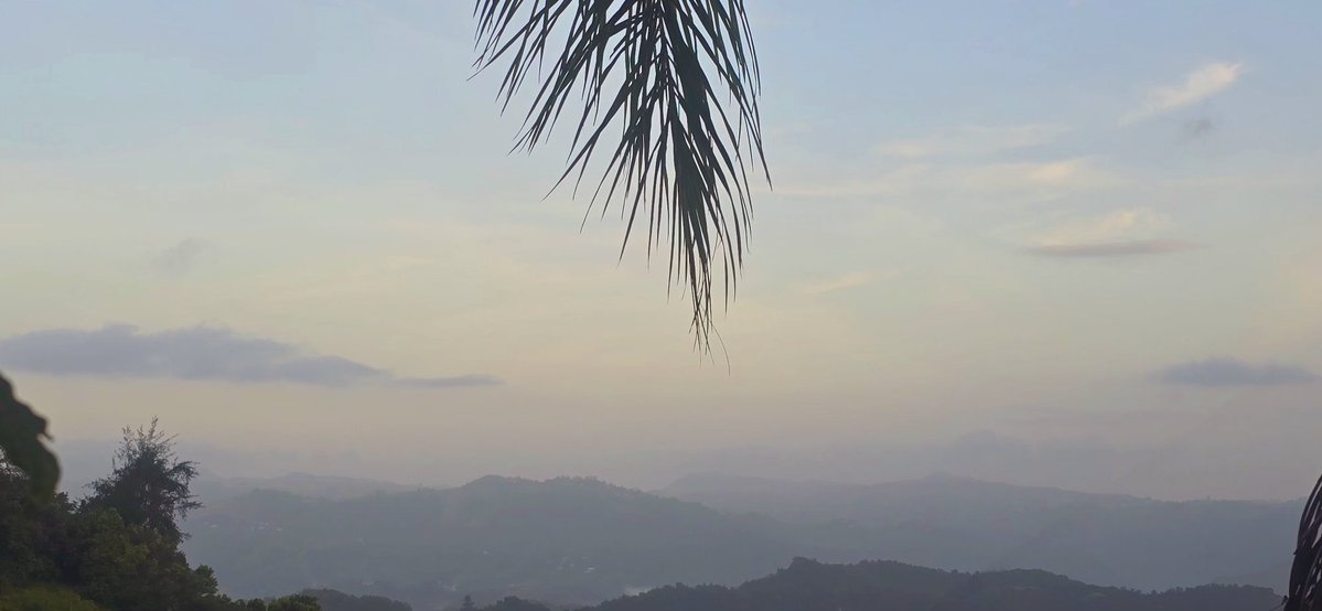 NormaOrtizRodr4's tweet photo. Hermoso amanecer con bruma en Cidra. Lindo dia 🙏🏻💖☕️ @adamonzon @DeborahTiempo @SLopezTiempo @EliRobainaTV @Carlostoletv @carlosomartv @rcortestv2 @zamiratv @CycloforumsPR @SusanSoltero @KevinDelbrey @TWAPuertoRico @Zona_del_tiempo @PRClimate @tiempo69291 @manuelcrespotv https://t.co/XLts6OfYC8
