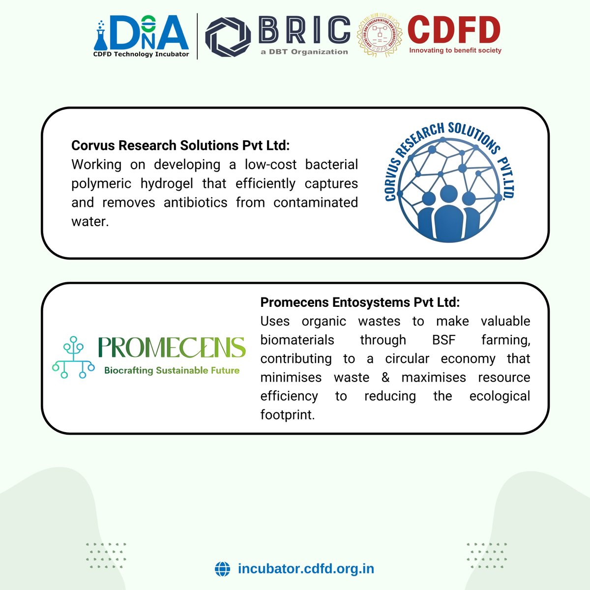 incubator_cdfd's tweet photo. From sustainable biomaterials and green manufacturing solutions to technologies that promote circular bioeconomy and environmental sustainability, these startups are demonstrating how science-led innovation can create meaningful impact for both people and the planet. https://t.co/ebyxioAa85