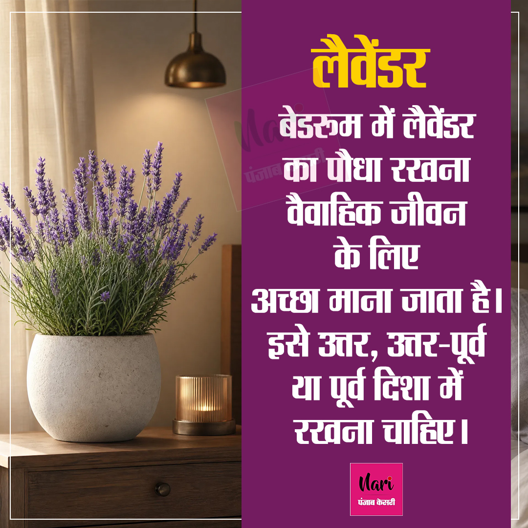 NariKesari's tweet photo. घर में पौध रखने की जान लें सही दिशा
#VastuShastra #HomeDecorIndia #PlantParent #VastuPlants #PositiveHome https://t.co/7RU5i0y1AM