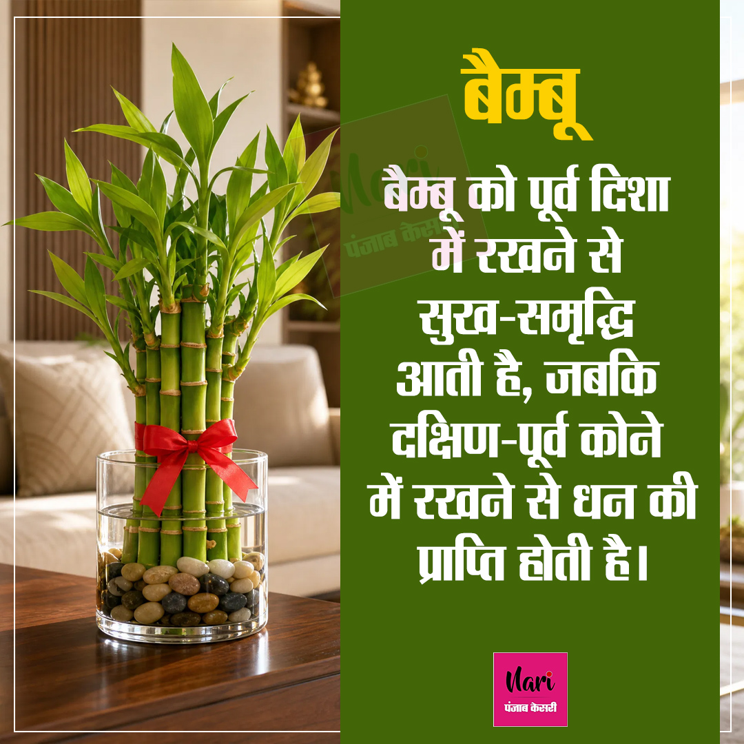 NariKesari's tweet photo. घर में पौध रखने की जान लें सही दिशा
#VastuShastra #HomeDecorIndia #PlantParent #VastuPlants #PositiveHome https://t.co/7RU5i0y1AM