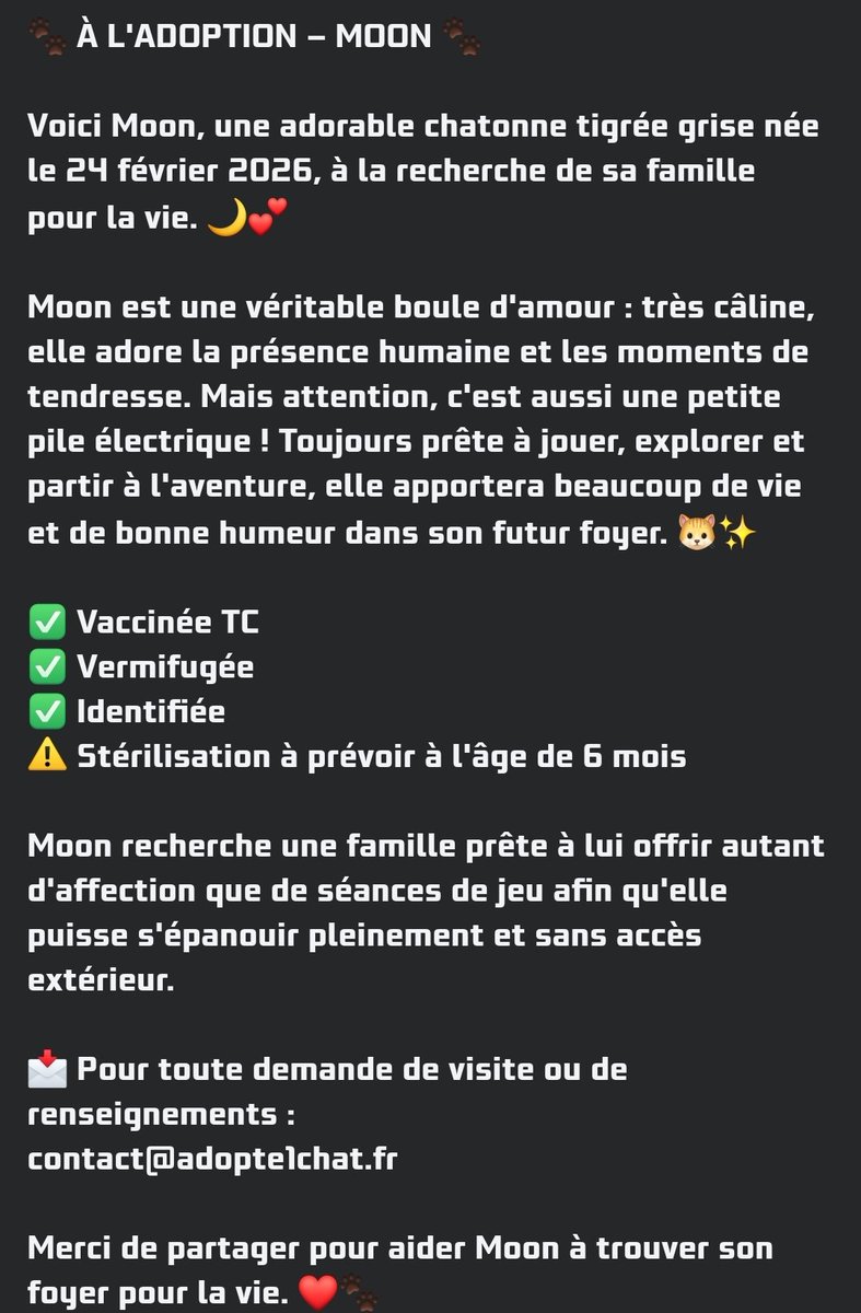 Adopte1chat's tweet photo. Coucou moi c'est Moon !
Je suis une petite minette pleine d'énergie !

Stérilisation à prévoir.

Contactez nous si vous craquez vous aussi pour elle 😻 https://t.co/QLFhFsSP3S
